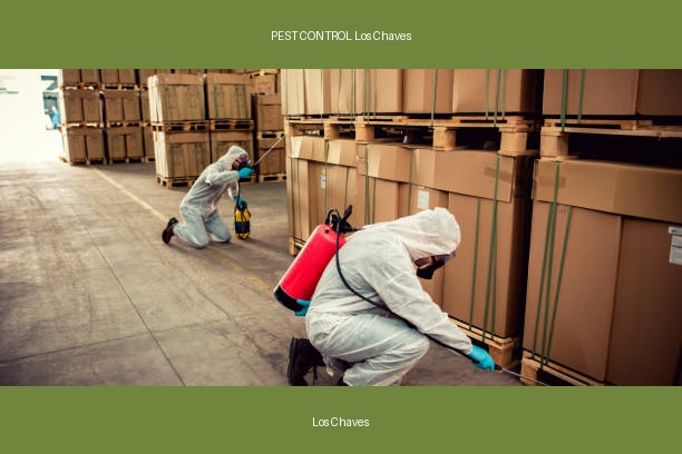 PEST CONTROL Los Chaves